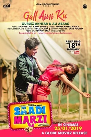 Saadi Marzi (2019) Punjabi Movie 720p HDRip x264 [930MB]