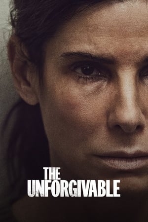 The Unforgivable (2021) Hindi Dual Audio 480p HDRip 380MB